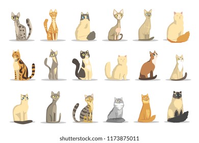 Cat different breeds set, cute pet animal vector Illustrations