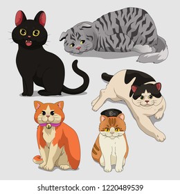 Cat different breeds set, cute pet vector set