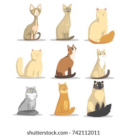 Cat different breeds set, cute pet animal vector Illustrations