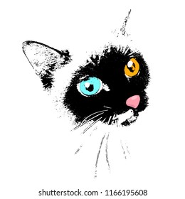 Cat with different eyes. Vector illustration