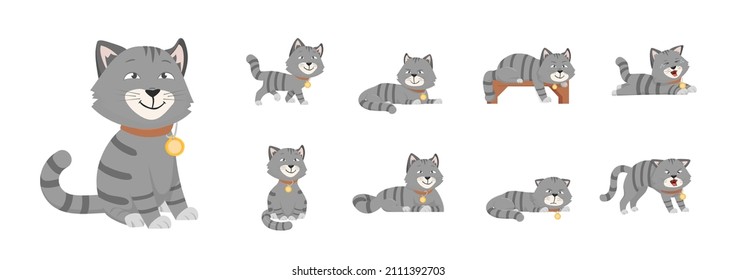 Cat different poses. Grey cats emotions, cartoon kitten eat and sleep. Isolated animal, cute comic pet behavior. Lazy, scared decent vector characters