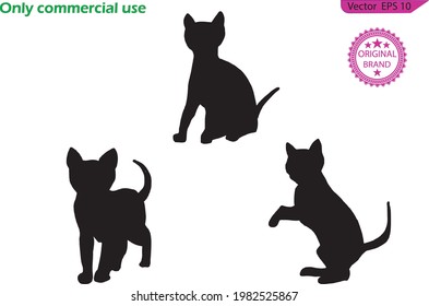 Cat with different poses. Kitty in simple cute style, isolated vector illustration. Cat vector silhouettes set Isolated On transparent  Background, 
