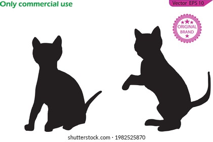 Cat with different poses. Kitty in simple cute style, isolated vector illustration. Cat vector silhouettes set Isolated On transparent  Background, 
