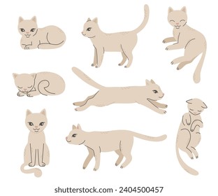 Cat in different poses.Lying, walking, sitting, sleeping, jumping cat. Pet, friend.Simple vector illustration in flat cartoon style isolated on white background.