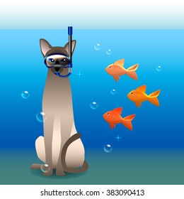 cat diver