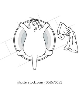 cat does not want to bathe