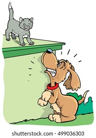 Cat and Dog