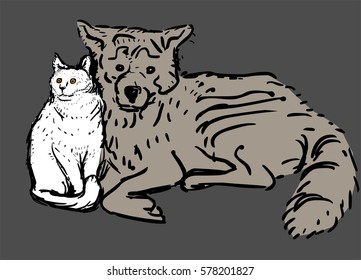 Cat and Dog 