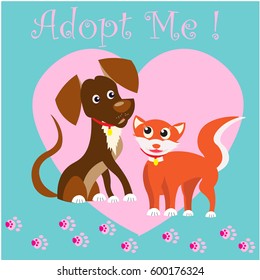 Cat and Dog adoption animals 