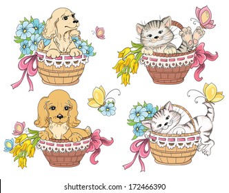 Cat and dog in basket. Idea for greeting card on birthday