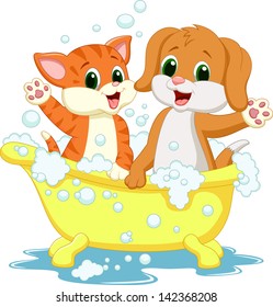 Cat and dog bathing