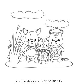 Cat dog and bear cartoon design