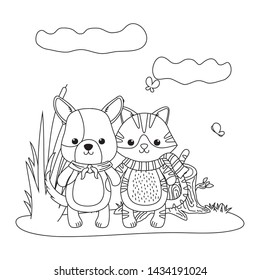 Cat and dog cartoon design