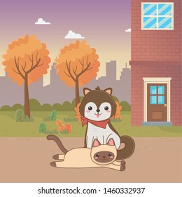 Cat and dog cartoon design
