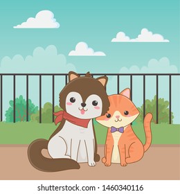 Cat and dog cartoon design