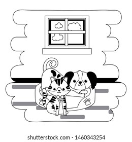 Cat and dog cartoon design