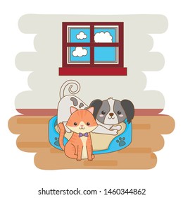 Cat and dog cartoon design