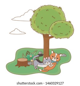 Cat and dog cartoon design vector illustrator