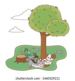 Cat and dog cartoon design vector illustrator