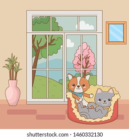 Cat and dog cartoon design vector illustrator
