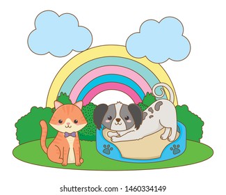 Cat and dog cartoon design vector illustrator
