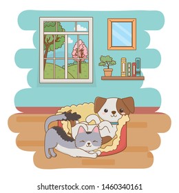 Cat and dog cartoon design vector illustrator