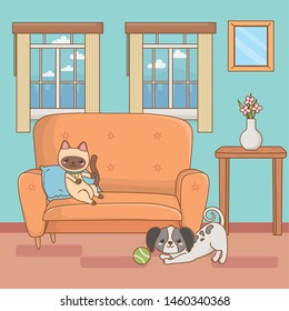 Cat and dog cartoon design vector illustrator