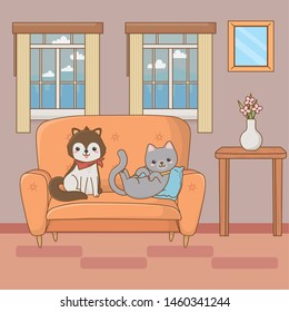 Cat and dog cartoon design vector illustrator