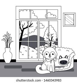 Cat and dog cartoon design vector illustrator