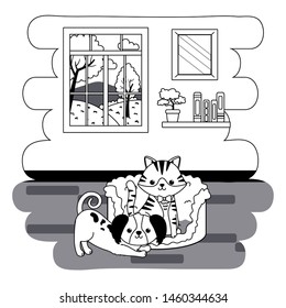Cat and dog cartoon design vector 