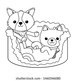Cat and dog cartoon design vector
