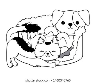 Cat and dog cartoon design vector illustrator