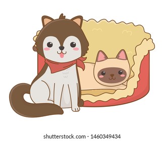 Cat and dog cartoon design vector illustrator