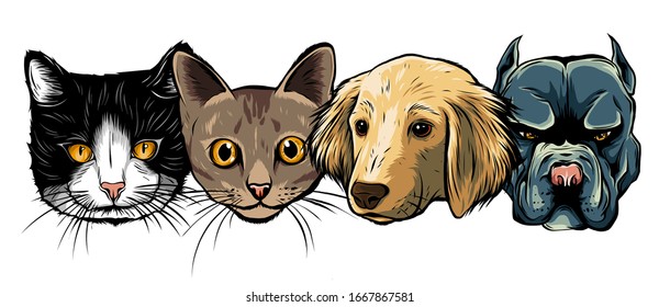 Cat and Dog characters. Best friend forever, vector illustration.