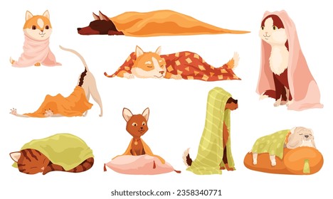 Cat and dog characters in blankets. Cartoon drawings of adorable comic domestic animals in warm clothing isolated on white background. Vector illustration