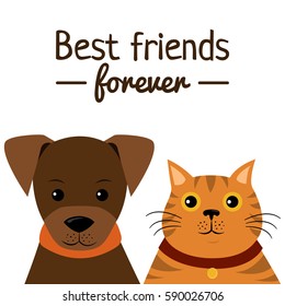 Cat And Dog Characters On White Background. Best Friend Forever, Vector Illustration.