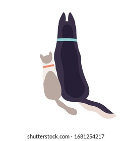 Cat and dog in collar sitting together back view isolated on white background. Rear of two domestic animal with tail posing vector flat illustration. Adorable pets enjoying friendship each other