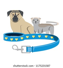 cat and dog design