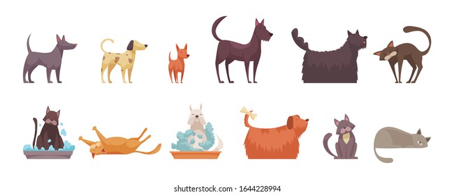 Cat and dog grooming set with hygiene symbols flat isolated vector illustration