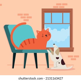 cat and dog at home