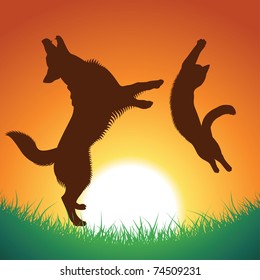 cat and dog jumping silhouettes. pets and background can be used separately, vector