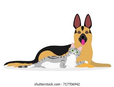 cat and dog laying together