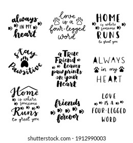 Cat and dog phrase black and white poster. Inspirational quotes about cat, dog and domestical pets. Hand written phrases about pet adoption. Adopt a dog or cat.