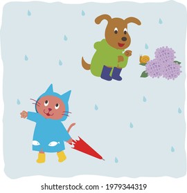 a cat and a dog in the rain