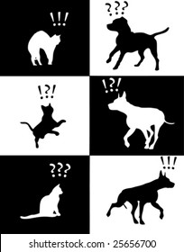 cat and dog reaction