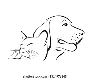 cat and dog together 