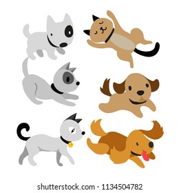 cat and dog vector collection design