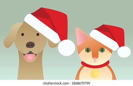 Cat and dog wearing santa hat