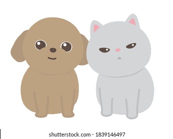El gato y el perro. fondo blanco.