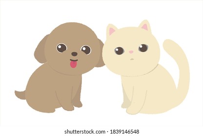 The cat and the dog. white background.